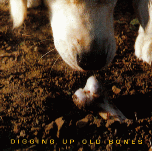 Breaking Violet : Digging Up Old Bones